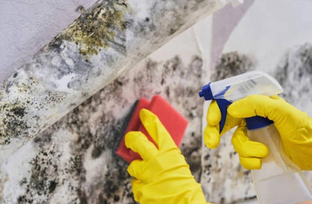 Mold inspection in Colorado home with professional testing equipment for hidden mold.