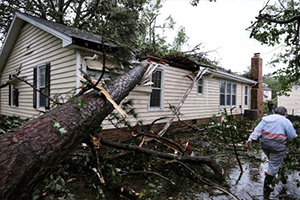 Workers cutting and hauling storm-damaged tree branches