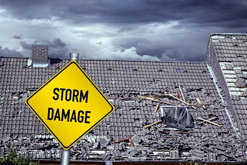 Storm debris removal crew clearing trees and branches in Colorado
