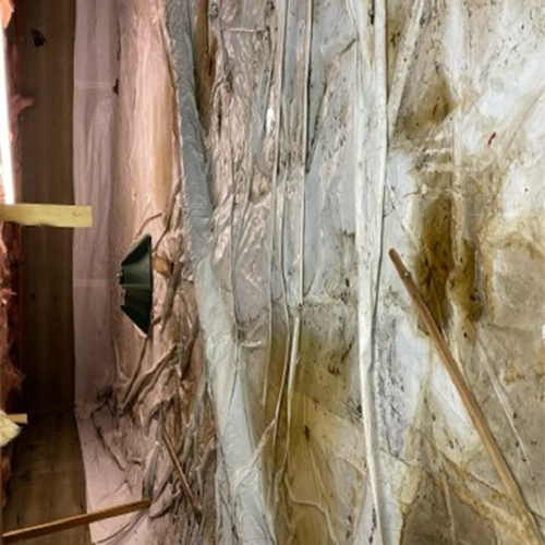 Technician drying flooded basement