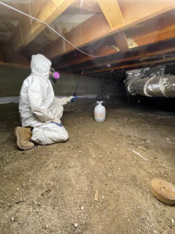 a professional compressed-Crawlspace Mold Remediation (1)