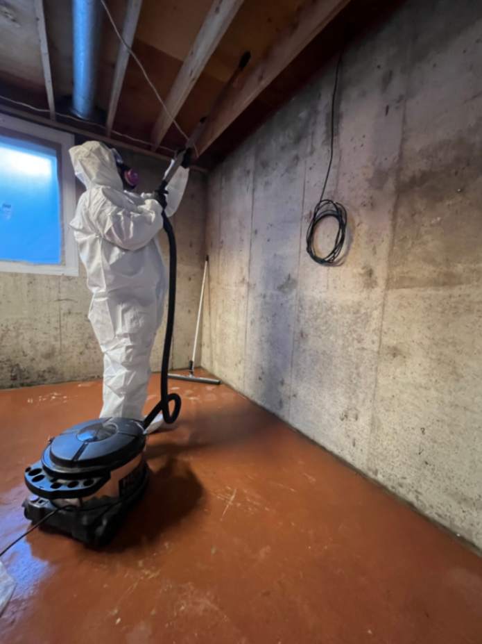 Mold inspection specialist testing air and surfaces inside a home in Colorado